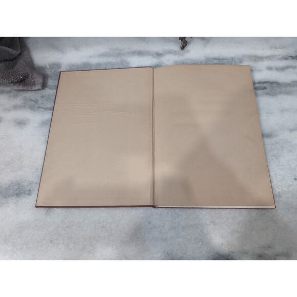 History of 313th‎ U.S. Infantry "Baltimore's Own" by Henry C. Thorn Jr, 1920 HC - Picture 4 of 7